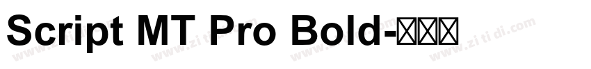 Script MT Pro Bold字体转换
